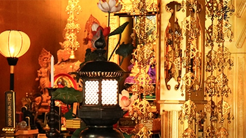 日行寺について